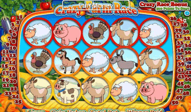 crazy farm race